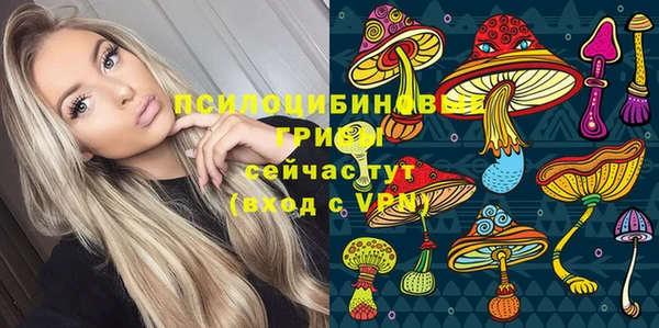 мдпв Белокуриха