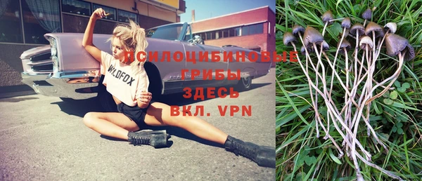 MDMA Premium VHQ Беломорск