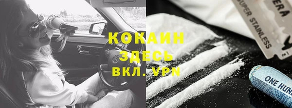мдпв Белокуриха