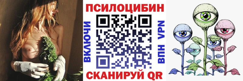 Купить где  Нытва  Псилоцибиновые грибы Magic Shrooms 